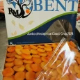 Jumbo dried apricot Class1-Crop 2024 (1)