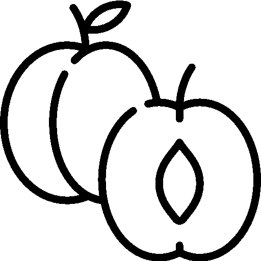Kuru Kayısı
